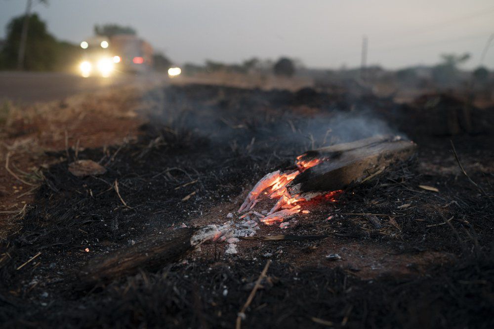 ember wildfire amazon ap.jpeg